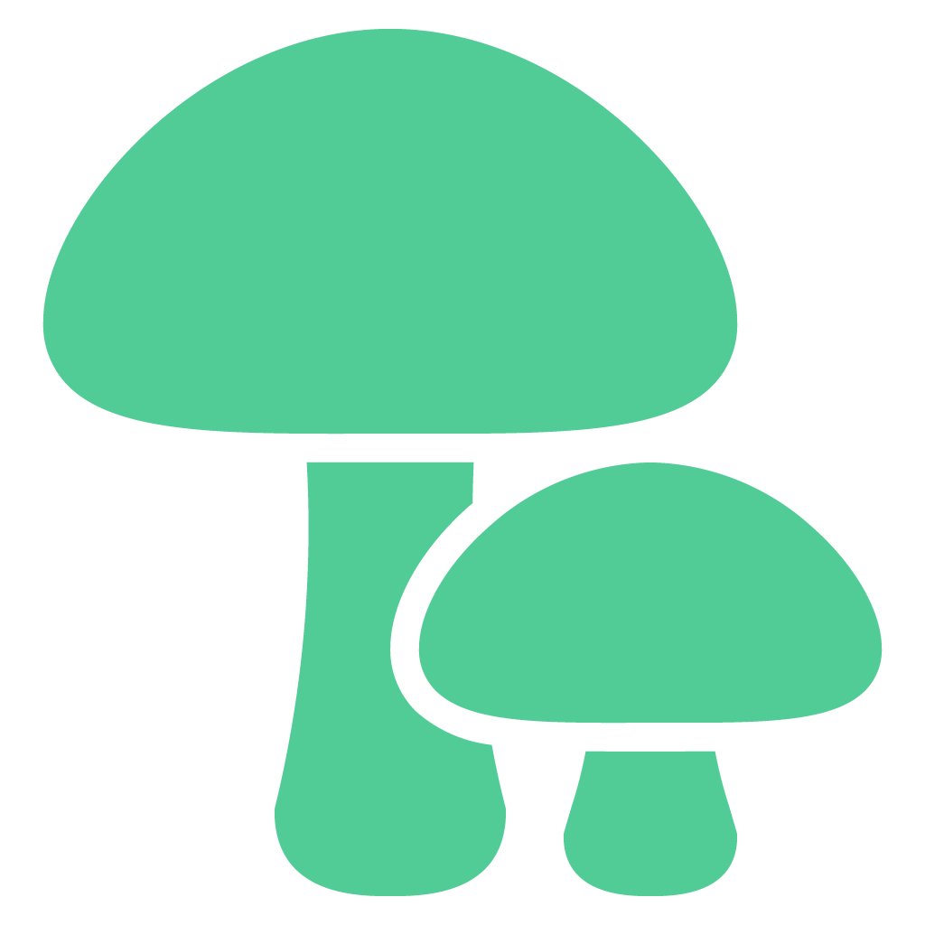 Medicinal Mushrooms